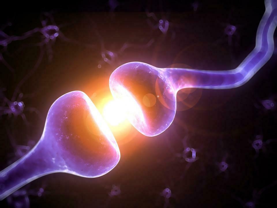 Firing Synapse Firing Synapse